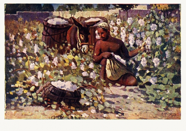 Лот из трех открыток художника П. Котова. Л.: АХР, [1920-е гг.].