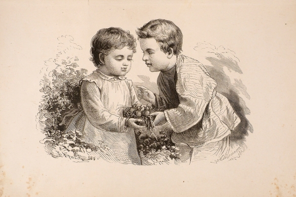 Шмидт, О. Ласточкино гнездо. Рассказ для детей. СПб., 1880.