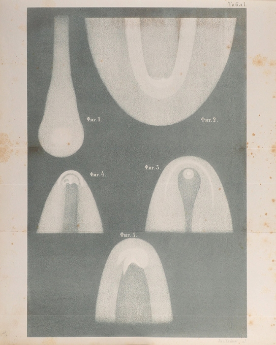 [Авторский экземпляр] Бредихин, Ф. О хвостах комет. М.: В Университетской тип., 1862.