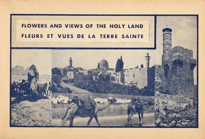 Цветы и виды Святой Земли. [Flowers and Vievs of Holy Land]. Иерусалим, [1900-е гг.].