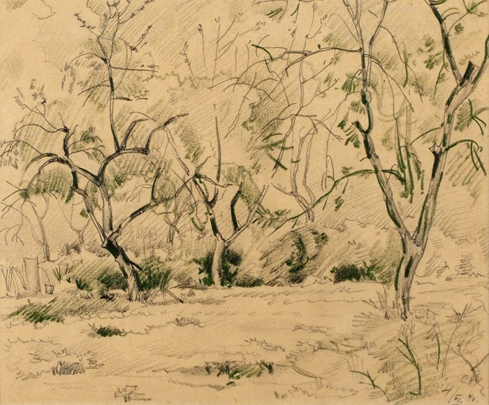 Антонов Сергей Николаевич (1884–1956) «Лесной пейзаж». 1940. Бумага, графитный и цветной карандаши, 25x30 см.